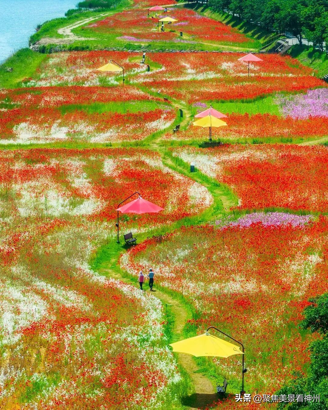 摄影镜头中的大地，既是油画也是梦境