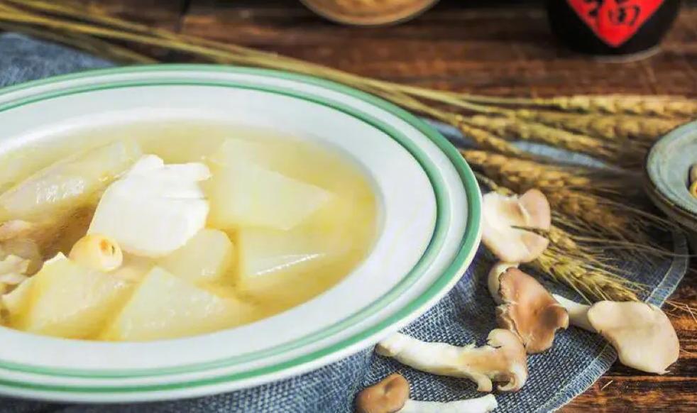 冬瓜果实的类型,冬瓜种子外形特点