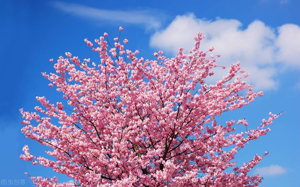 23个护肤小窍门语音讲解,23个护肤小窍门