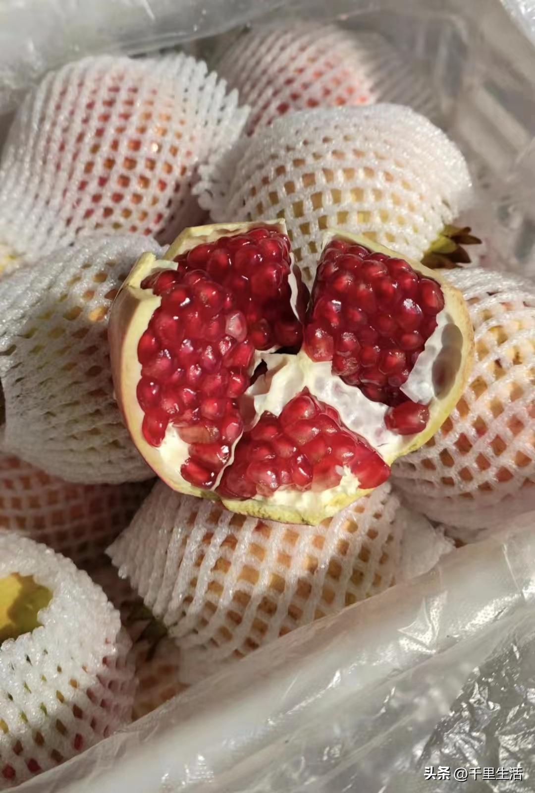 突尼斯软籽石榴和河阴石榴的区别,正宗原产地突尼斯第一名软籽石榴