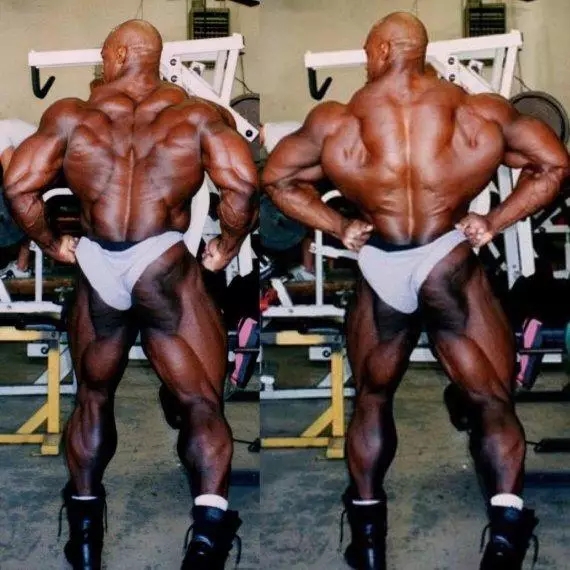 健美最强的十个人,健美背肌最强第一人