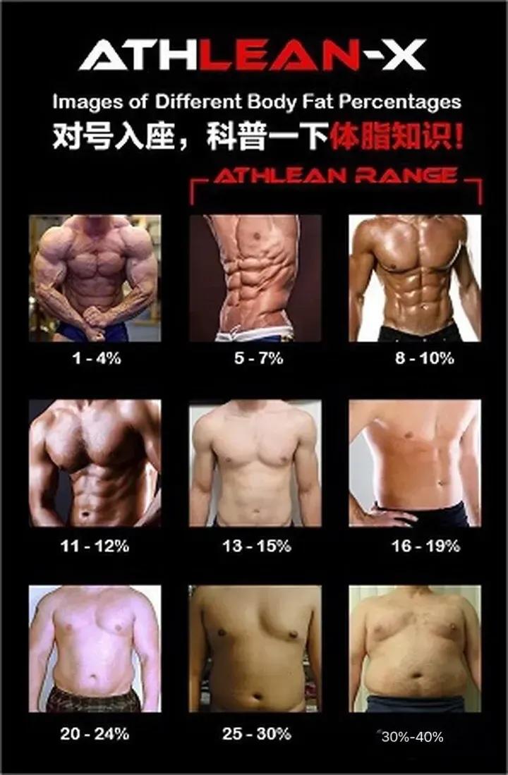 腹肌训练大全快速练出腹肌马甲线,腹肌训练动作练出腹肌马甲线