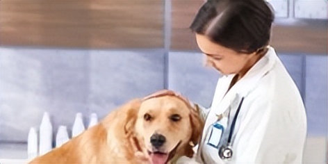 李宝成流氓案怎么判刑,李宝成性侵案