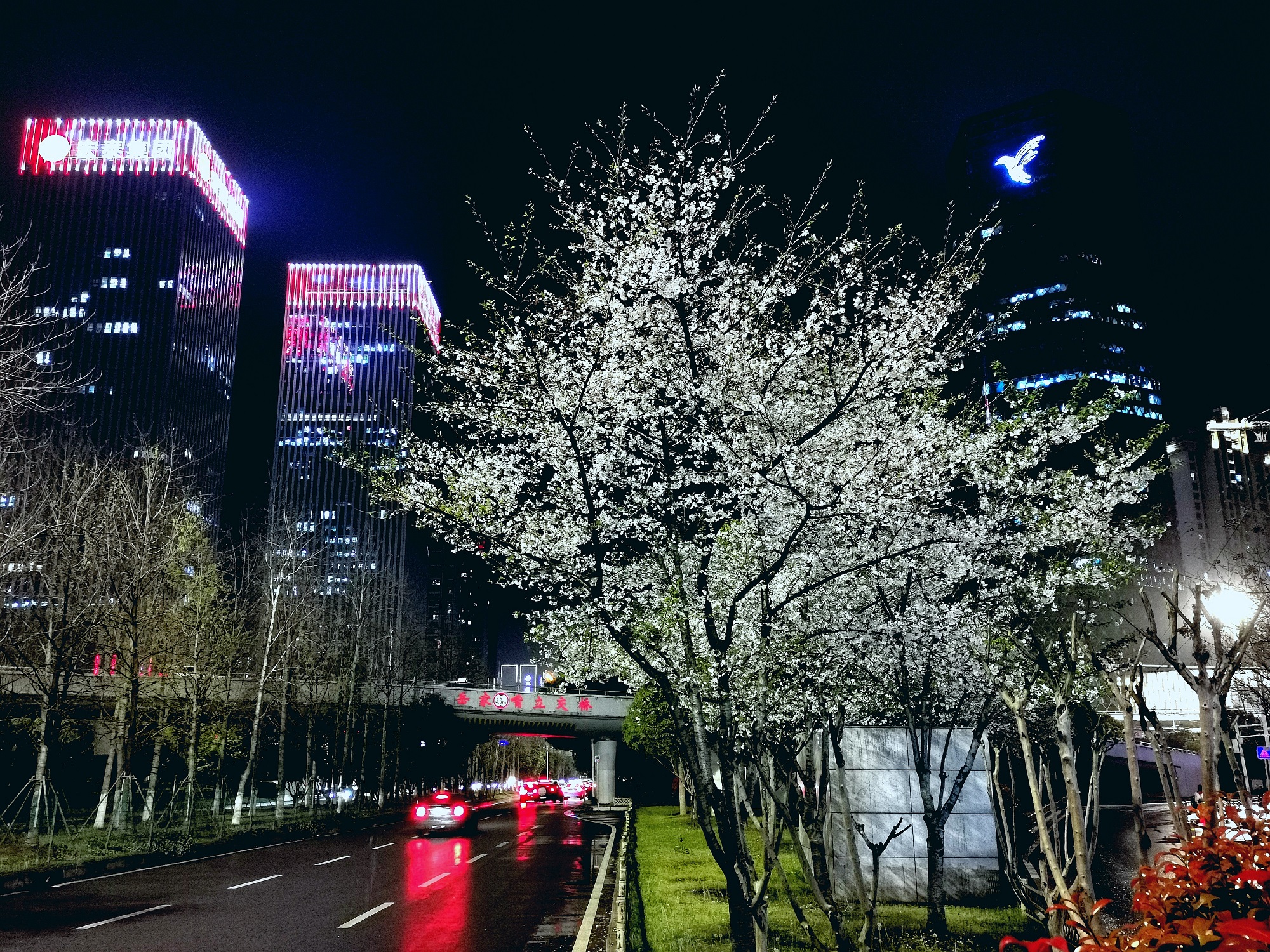 1800岁的武昌，为何能远离老牌城市的诅咒？（深度长文）