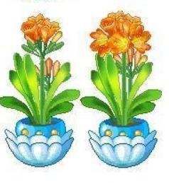 你的QQ号是几位数？还记得第一个头像是用哪一个吗？