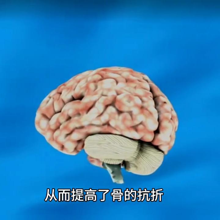 为什么让孩子参与足球比赛,有必要培养自己的孩子踢球吗