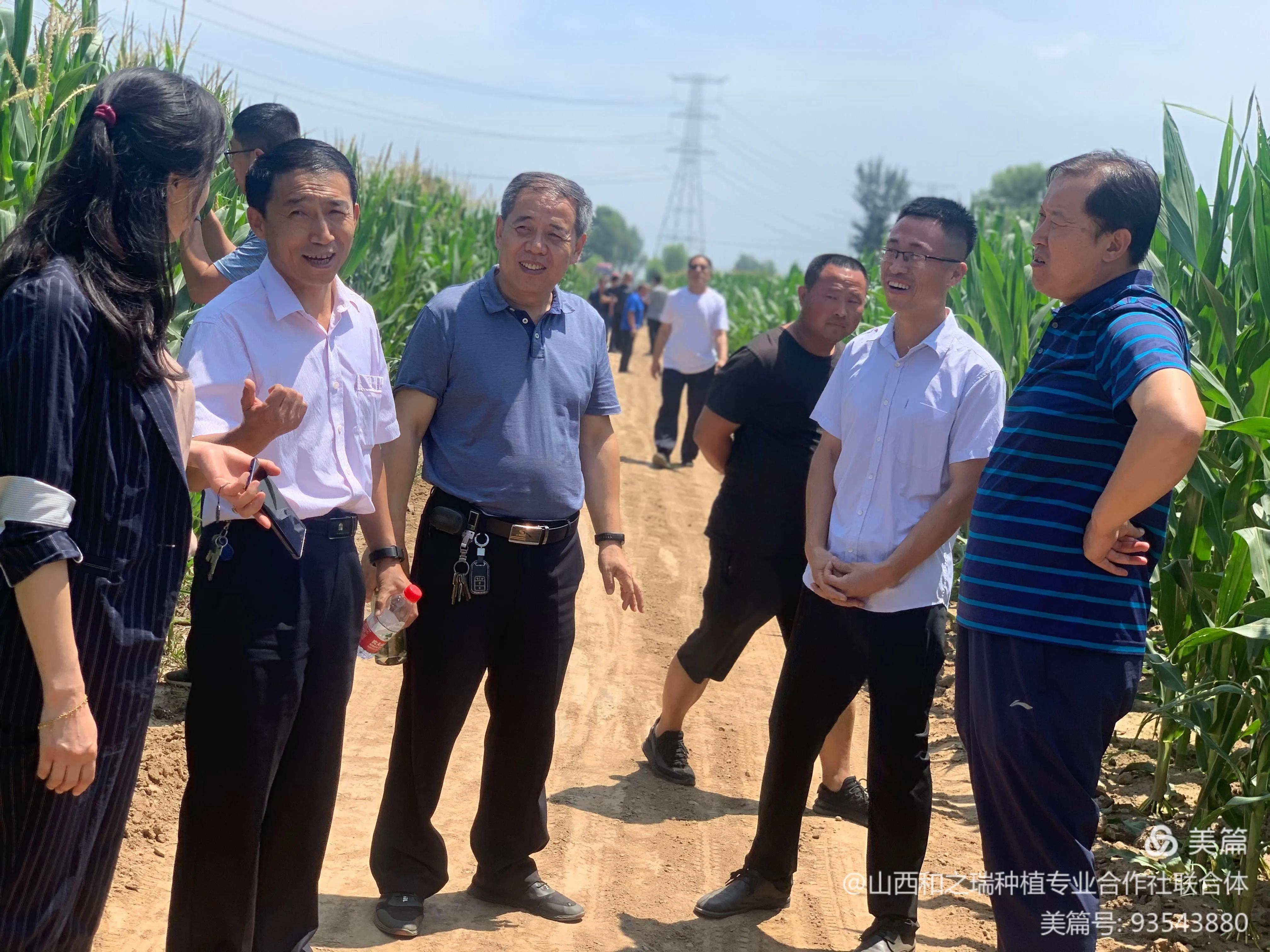 现代化农业生产经营模式,农业农村托管新模式