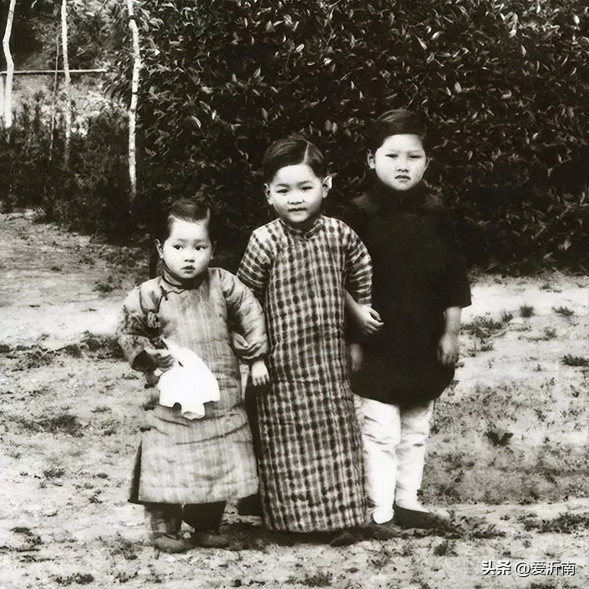 居里夫人一家有多强,中国居里夫人及其家族