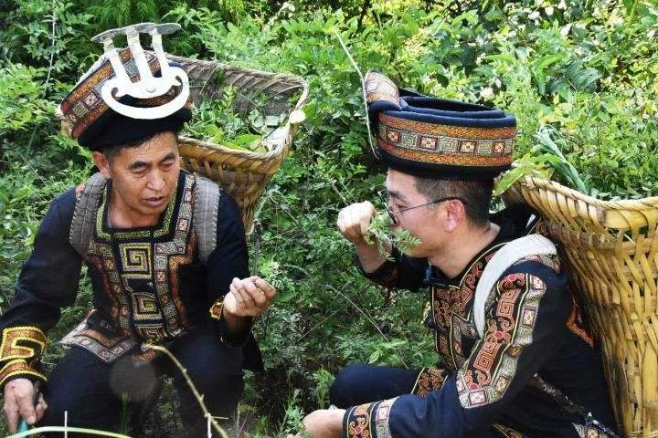 五十六个民族的风俗和服饰,费青儿五十六个民族服饰合集