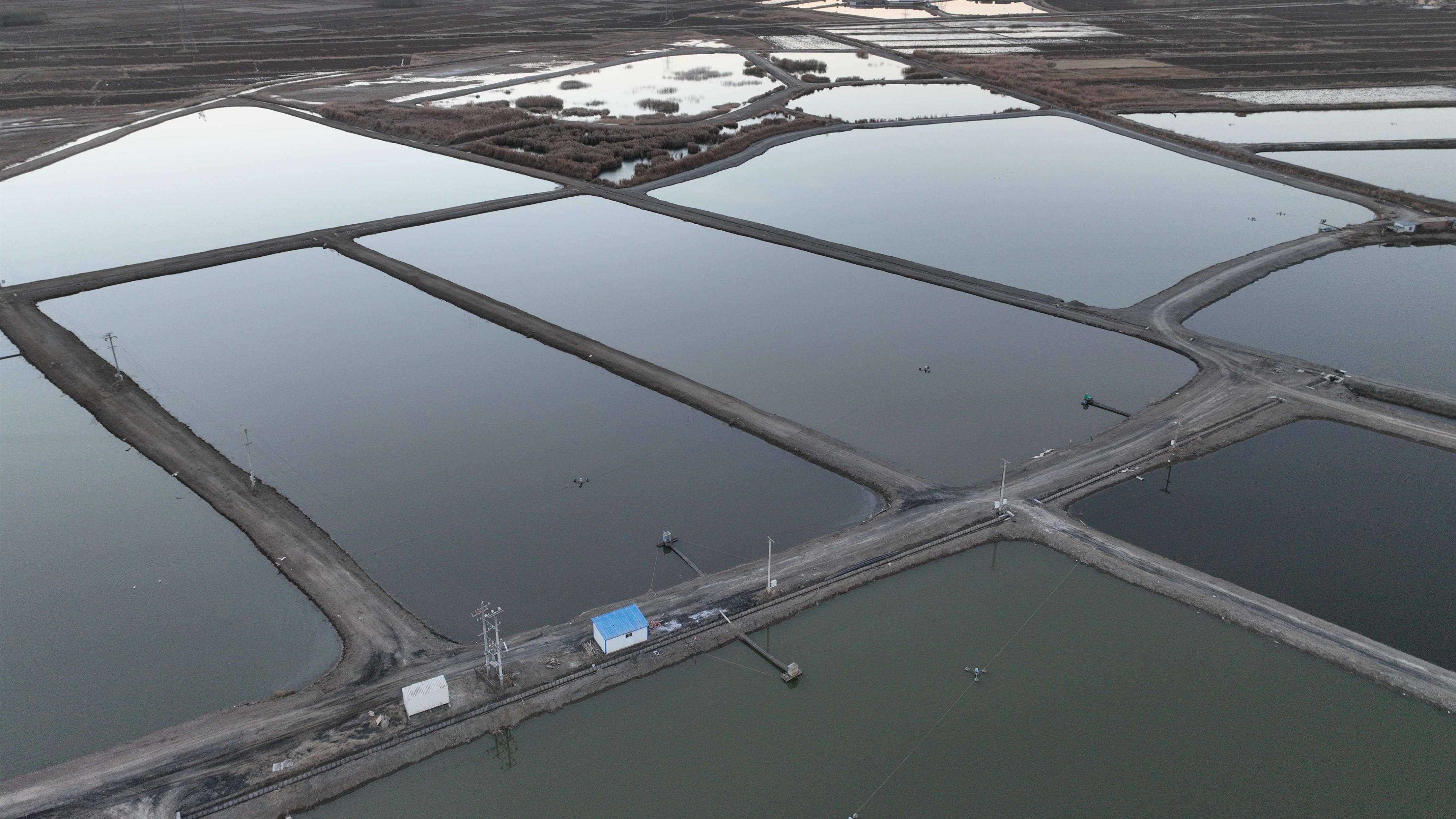 我们的新时代丨贺兰县：发展鱼鲜预制菜项目为“西北适水产业第一县”增添新动能