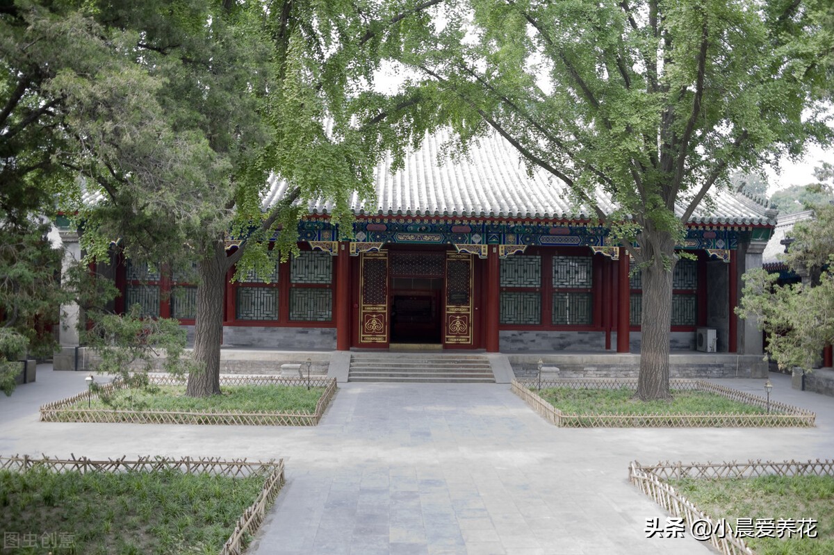 如何彻底清除花园里的杂草,怎样处理庭院里的土不再长杂草