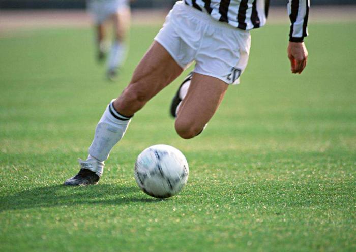 5本体育小说,3本篮球竞技小说