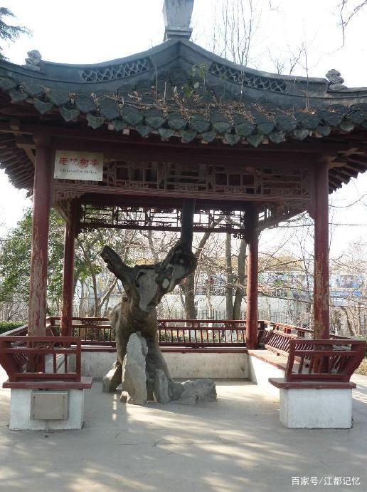 泰州“槐树脚周妇人家”,张氏妇科：300年前网红，流量直泻11代