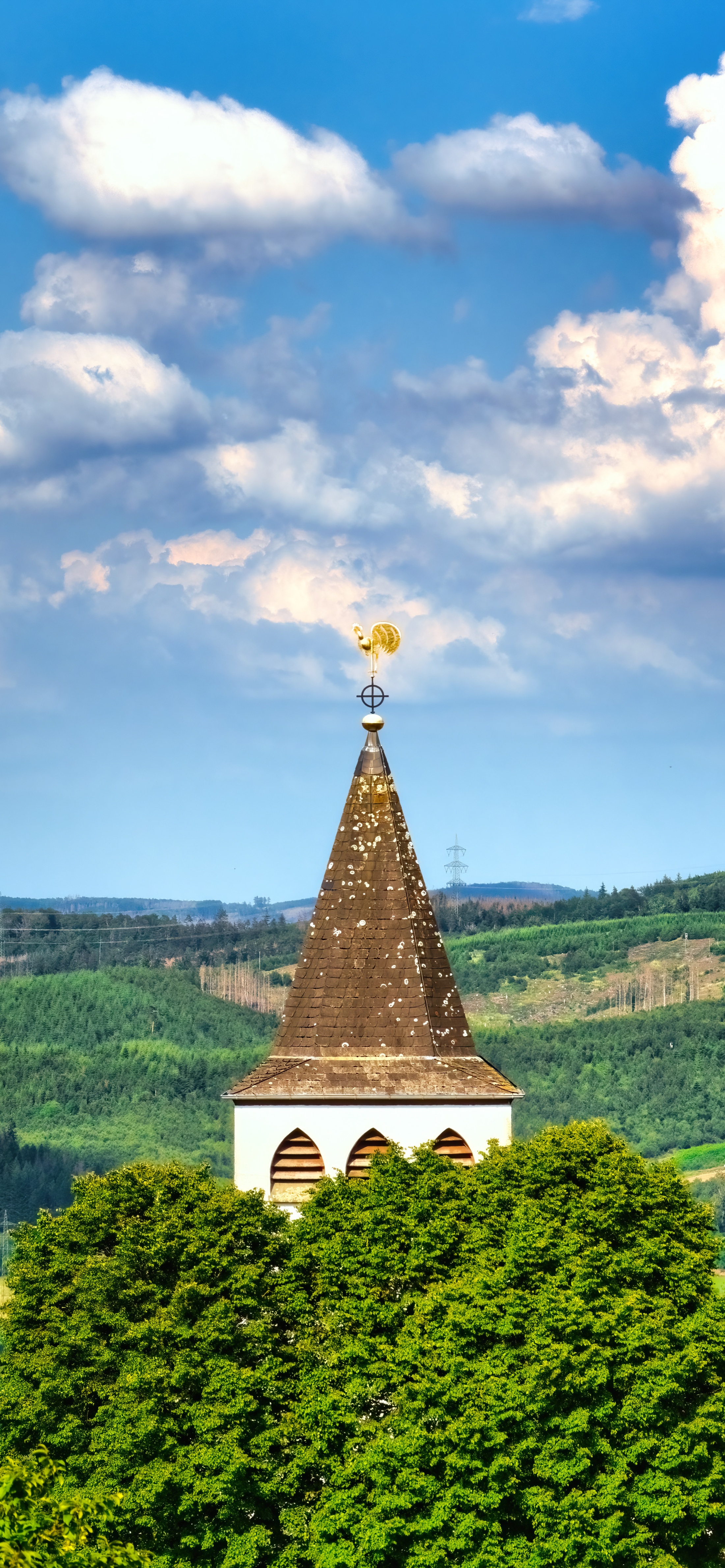 早安竖屏手机壁纸,早安图片最新手机壁纸