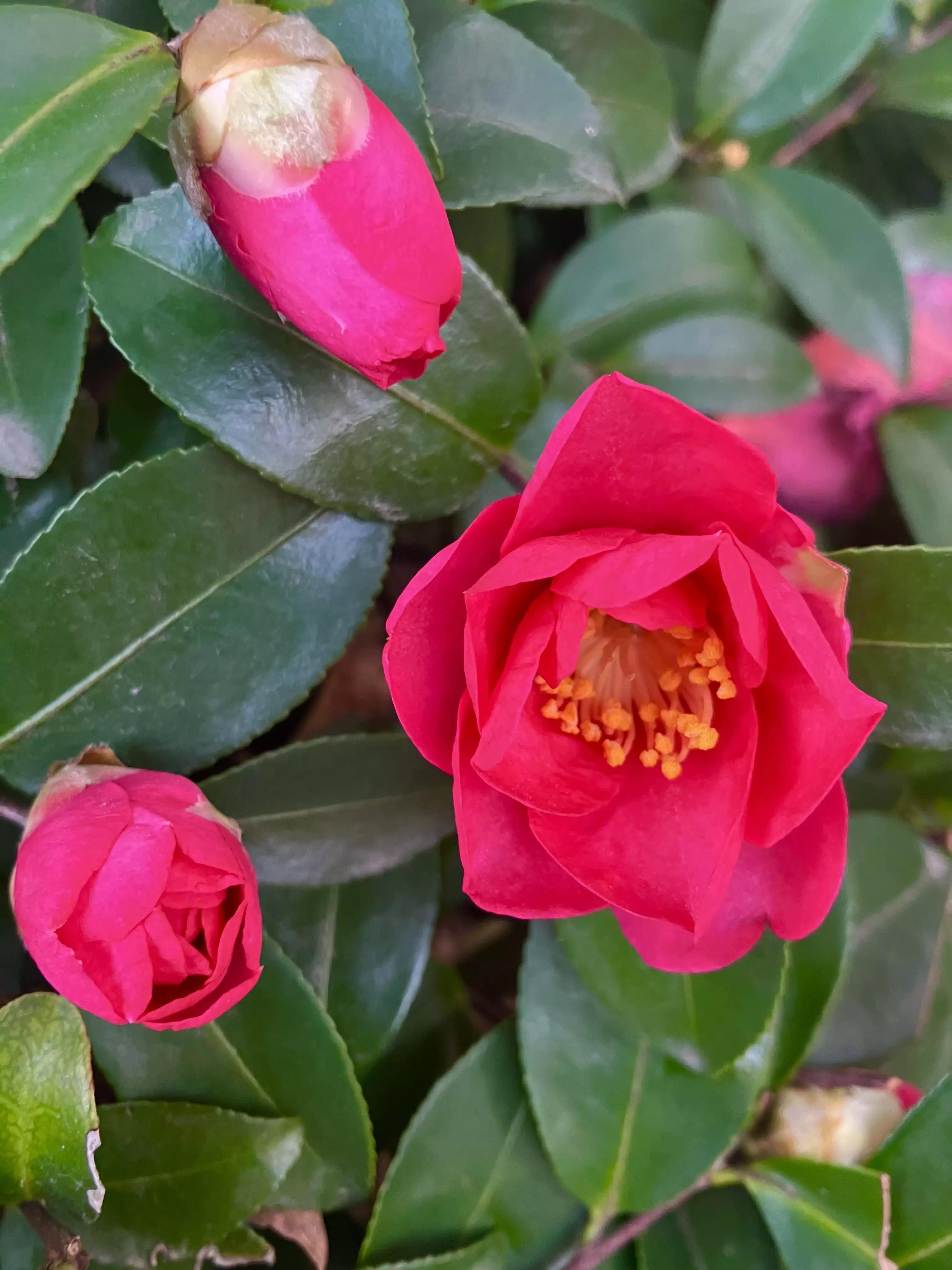 岁月斑驳留下来的都是静好时光,岁月斑驳愿时光静好