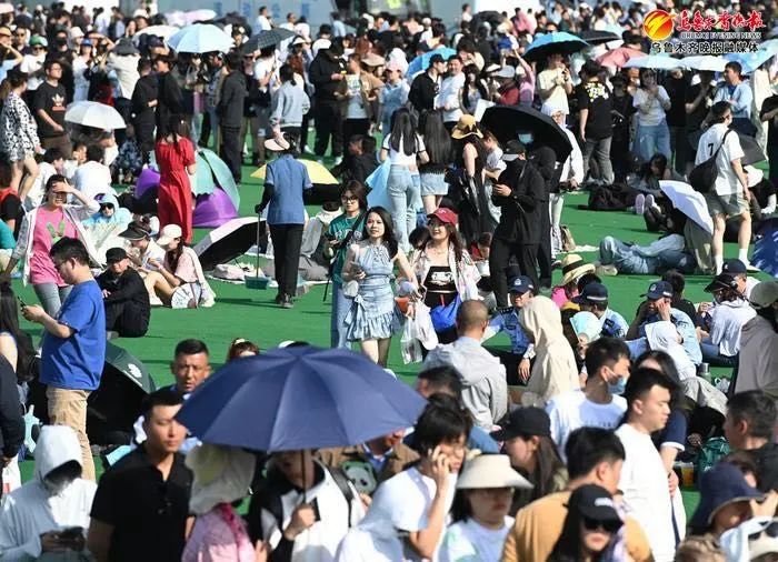 草莓音乐节志愿者申请流程,草莓音乐节志愿者岗位