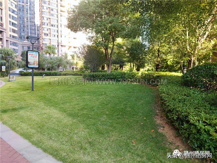 保姆房入户电梯,保姆电梯房