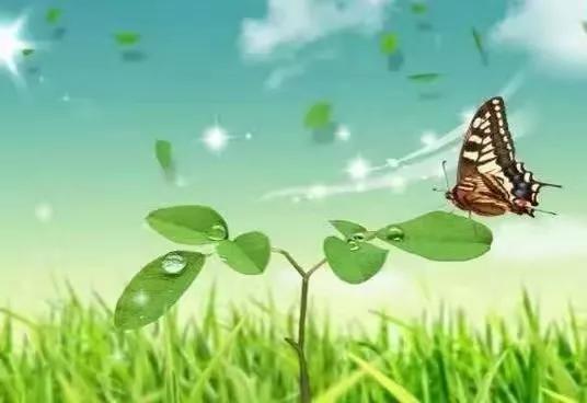 怎么努力都得不了100分,不要为难自己原版