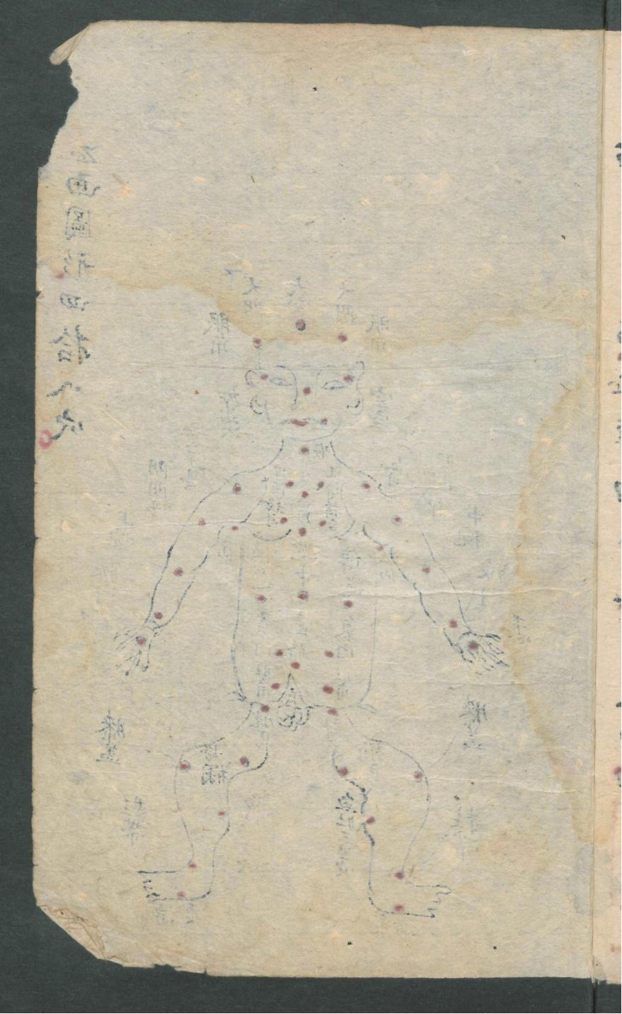 华佗仙师秘传01,华佗仙师秘传全集