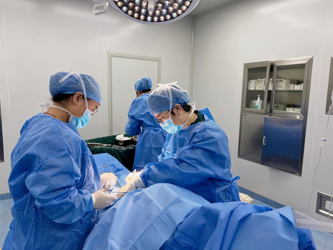 大庆龙南医院援边妇产科王丽萍：凡为医之道，必先正己，然后正人