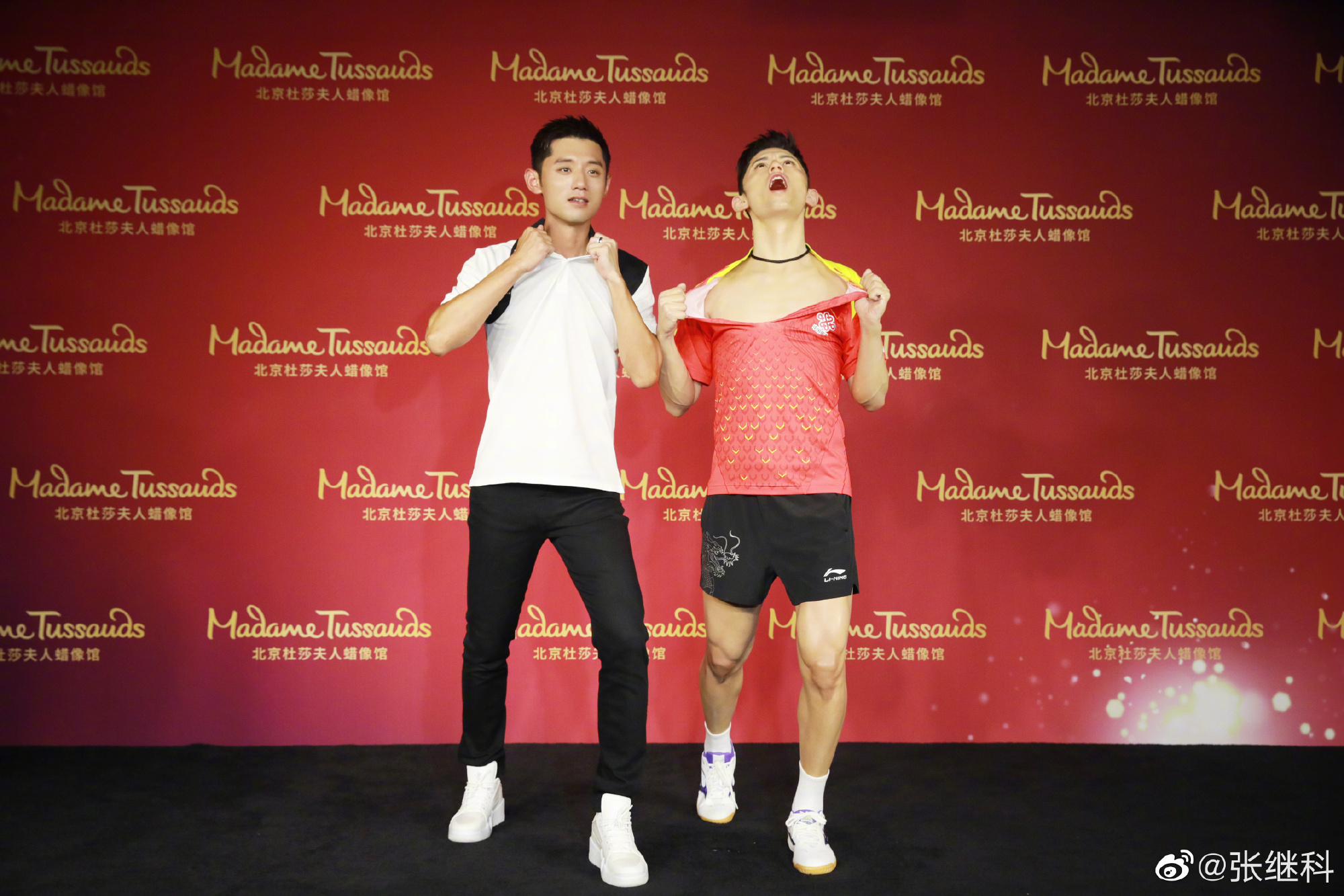 张继科2019乒乓球,为乒乓球而生张继科