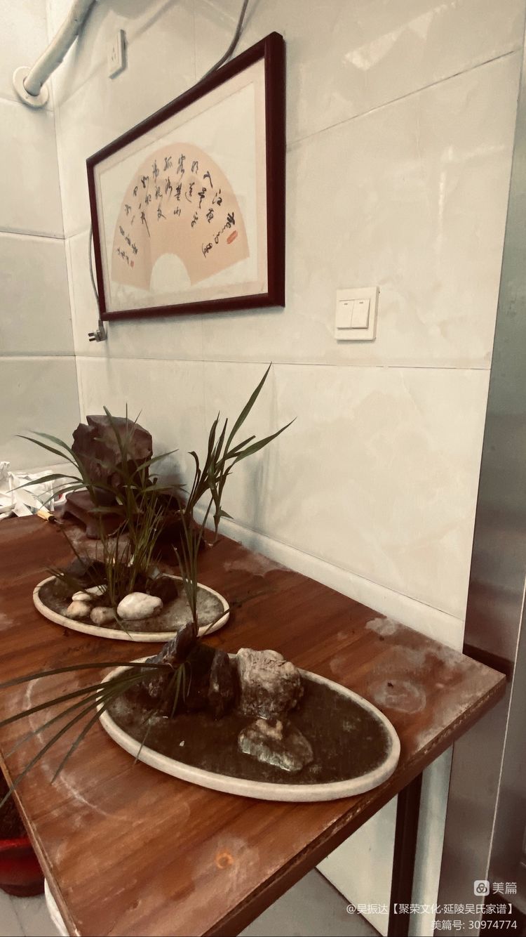 绿色是生命中的最美色彩