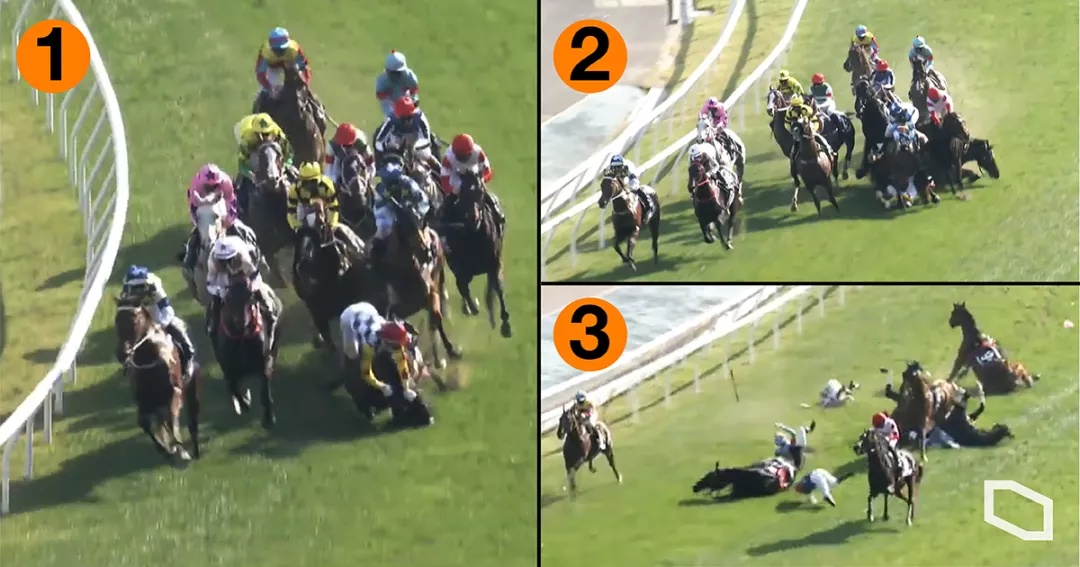 香港赛马四马相撞,两马人道安乐死三人受伤:冠军骑师被停赛三周