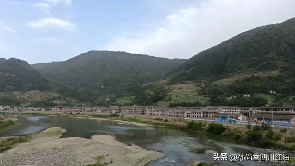 孙尚香复合调味品产业园,筹商业计划书