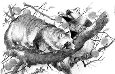 同样是新冠为什么有的人症状轻,为什么新冠和非典不一样