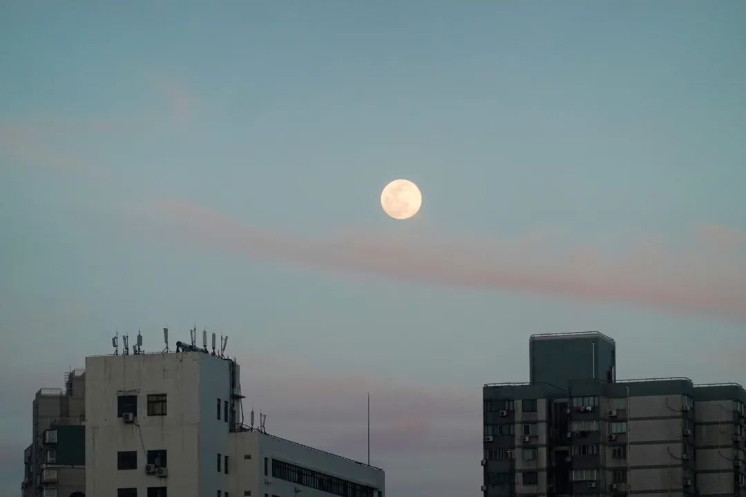 90后不结婚95后不恋爱,为什么95后不愿意谈恋爱