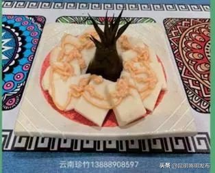 花博会云南,花博会来了