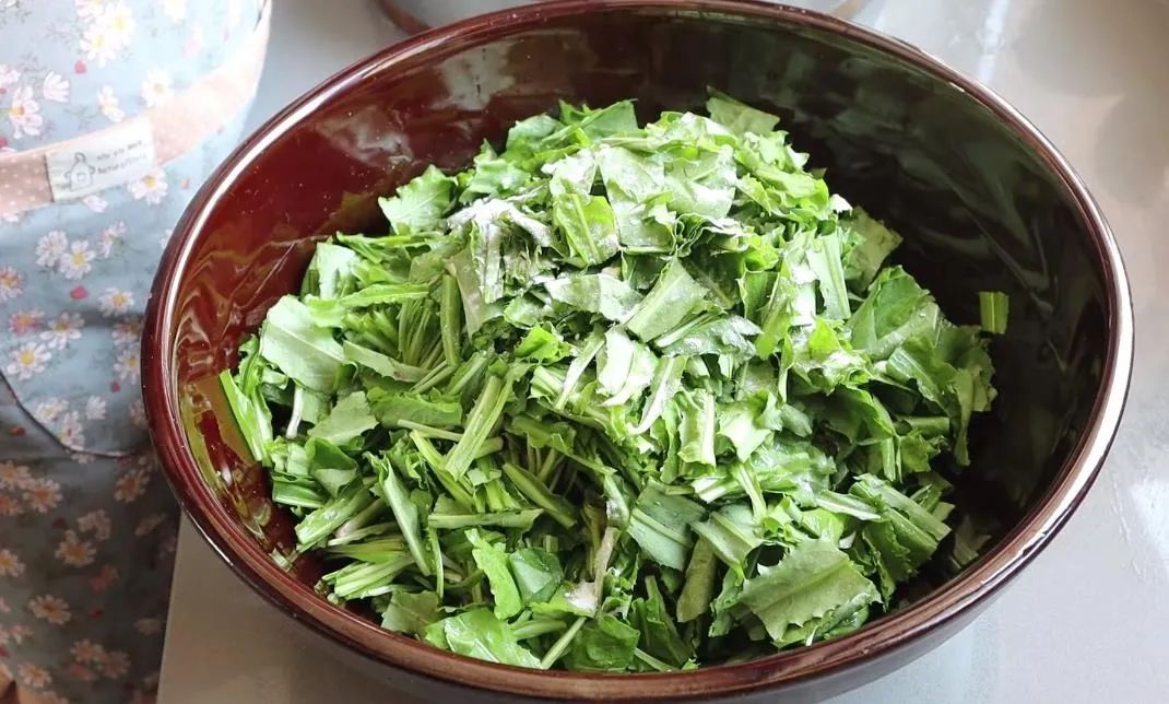 藏在草丛里的“护肝冠军”，全身都是宝，比韭菜鲜美，比豆腐营养