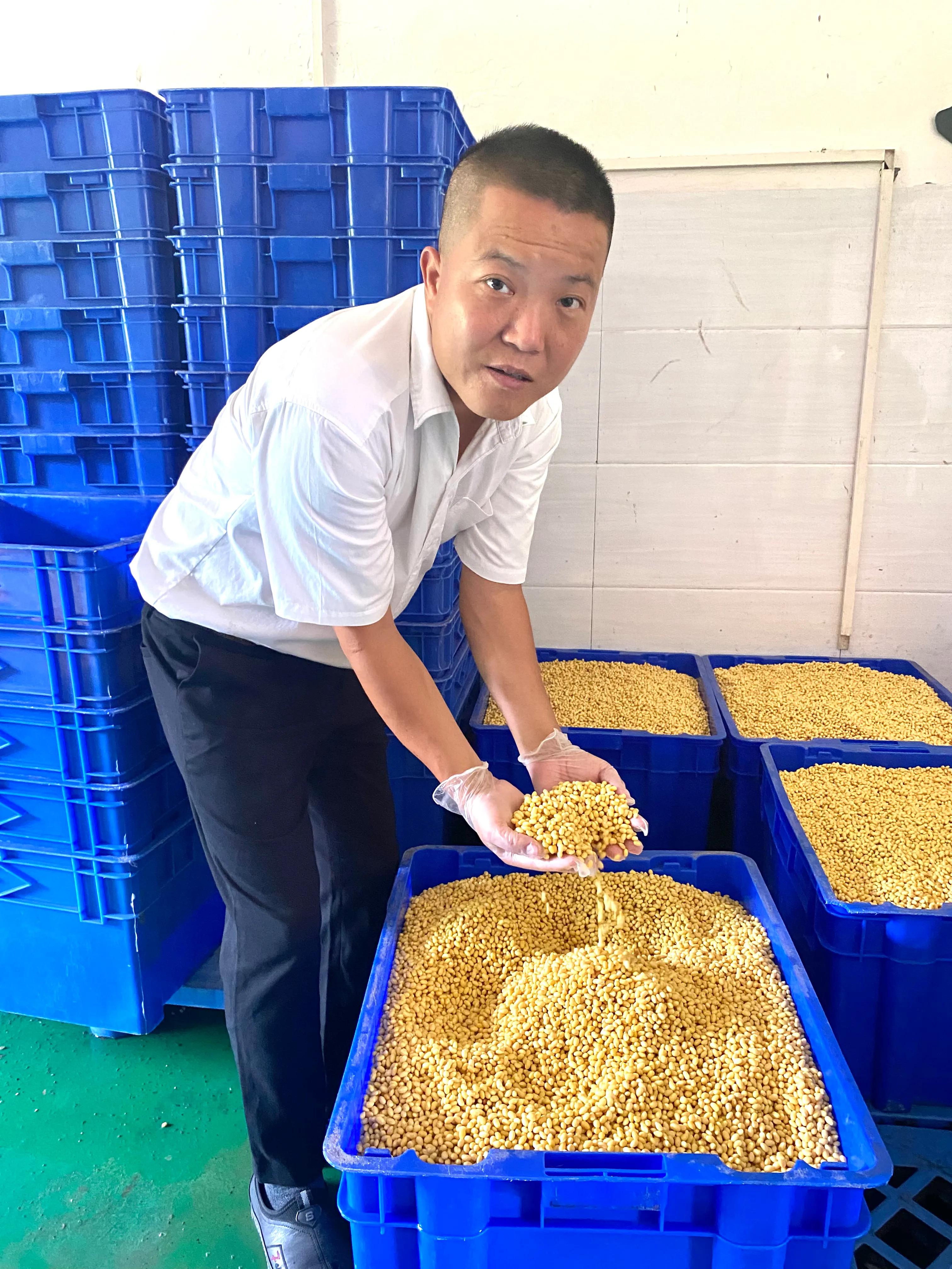 海南湖北籍企业家王攀小豆芽大梦想欲让海口市民吃上正宗“鄂”菜