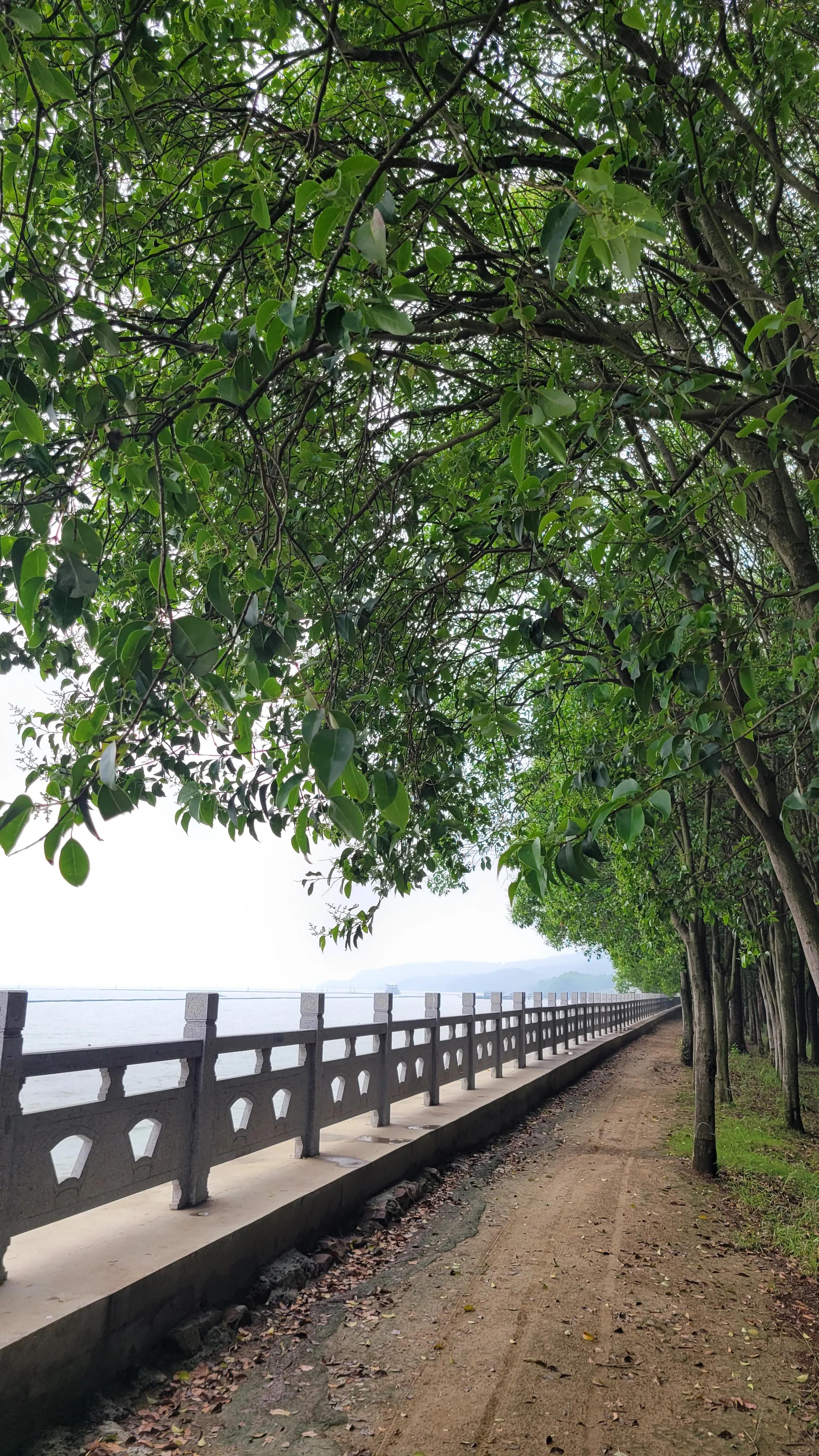 无锡太湖十八湾起点,无锡太湖十八湾在哪