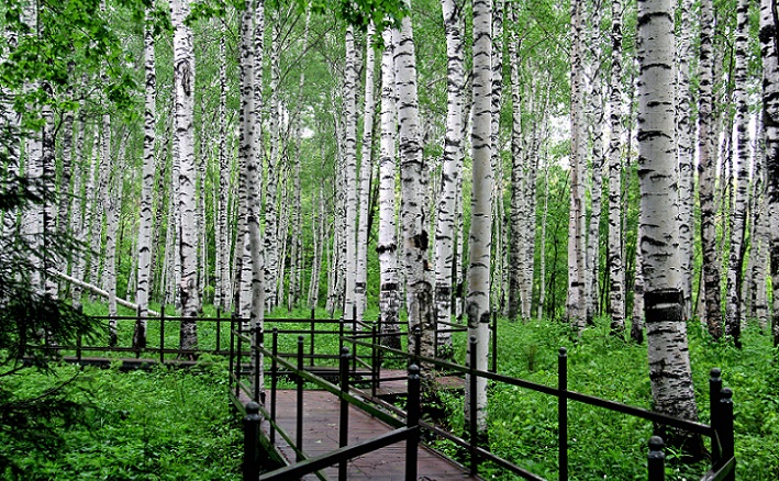 黑龙江冷门旅游城市,黑龙江省五一冷门亲子游