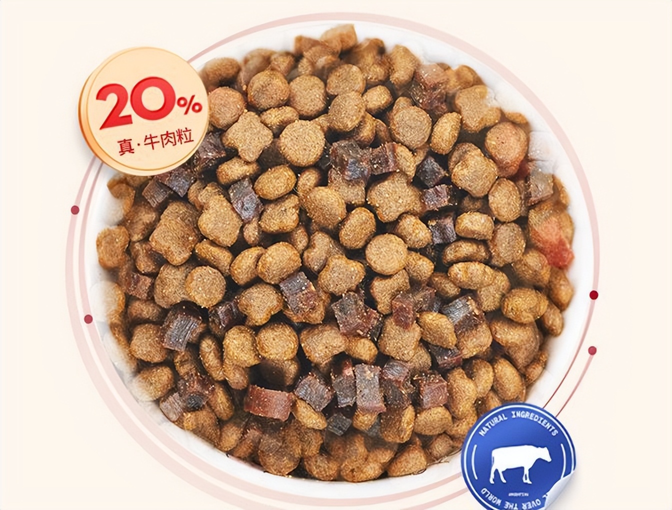 海洋之星好还是皇家狗粮好,海洋之星哪一款狗粮适合泰迪