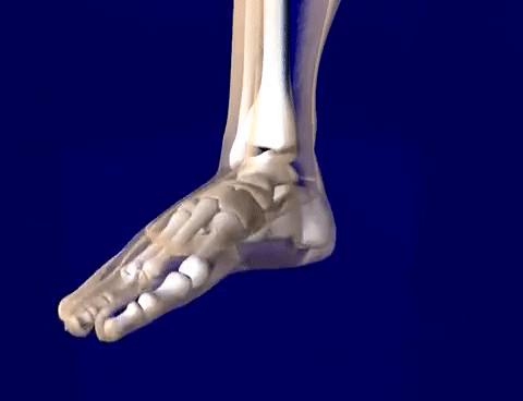 脚感好到飞起的跑鞋,灵动与飘逸的球鞋