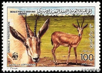 全球保护濒危动物邮票,十二种濒危物种邮票