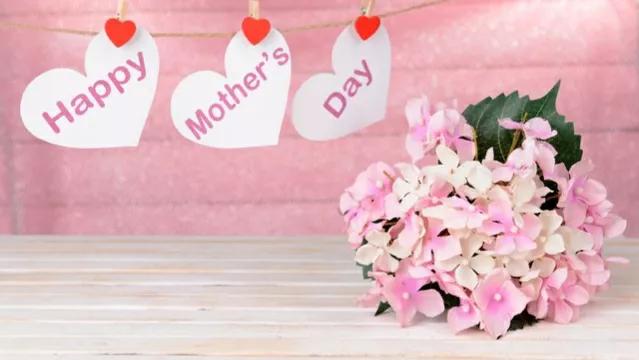 母亲节妈妈收到儿子的神秘礼物,母亲节妈妈收到儿子送的神秘礼物