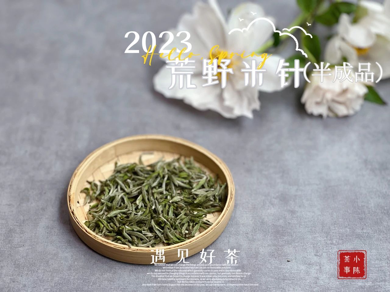 选购白毫银针只需看这5点,好的白毫银针质量鉴别