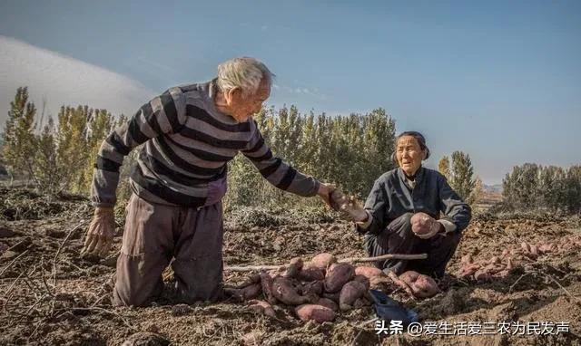 为民发声合集,为民发声办实事