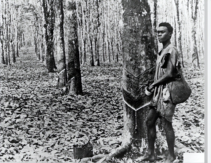 美国黑人重返非洲“故土”,带来了先进的种族歧视文化