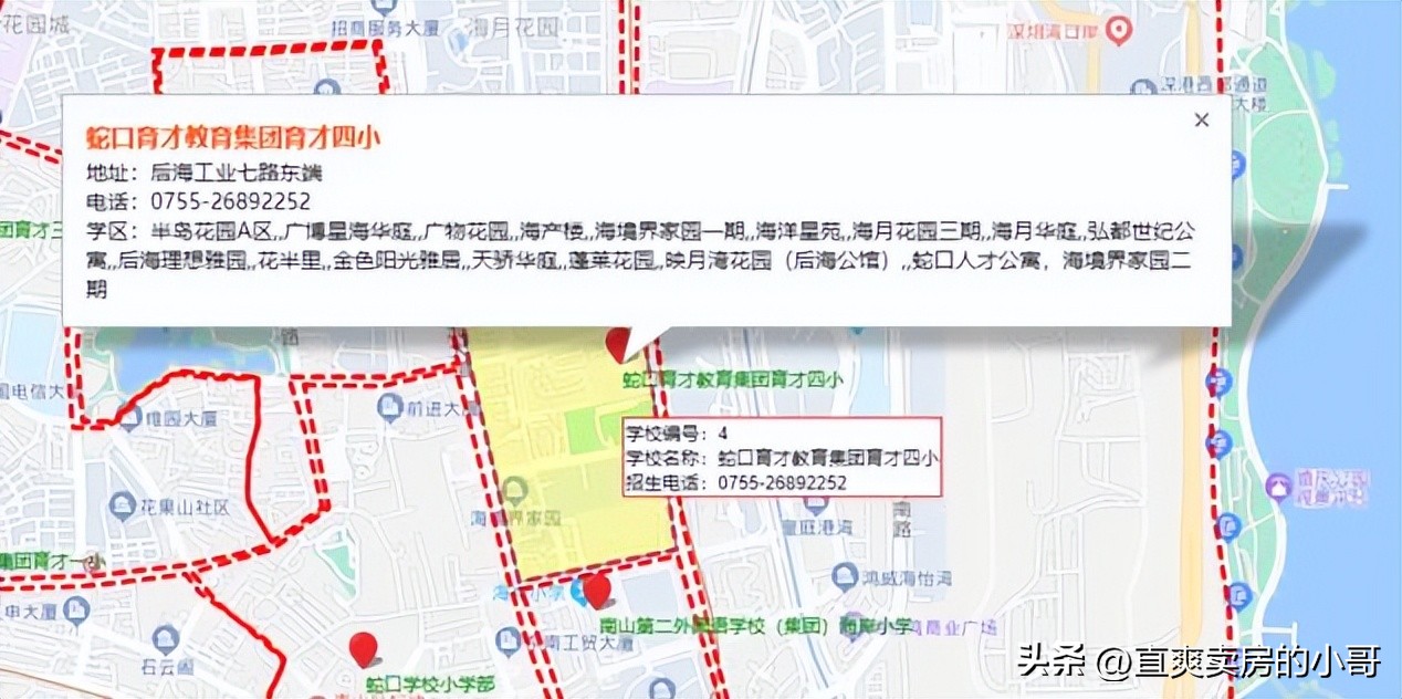 南山区重点小学,南山区重点小学和初中排名