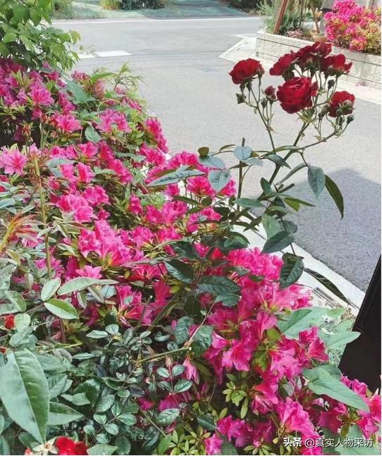 日本女人在家庭的真实地位,日本女性地位很低真实情况