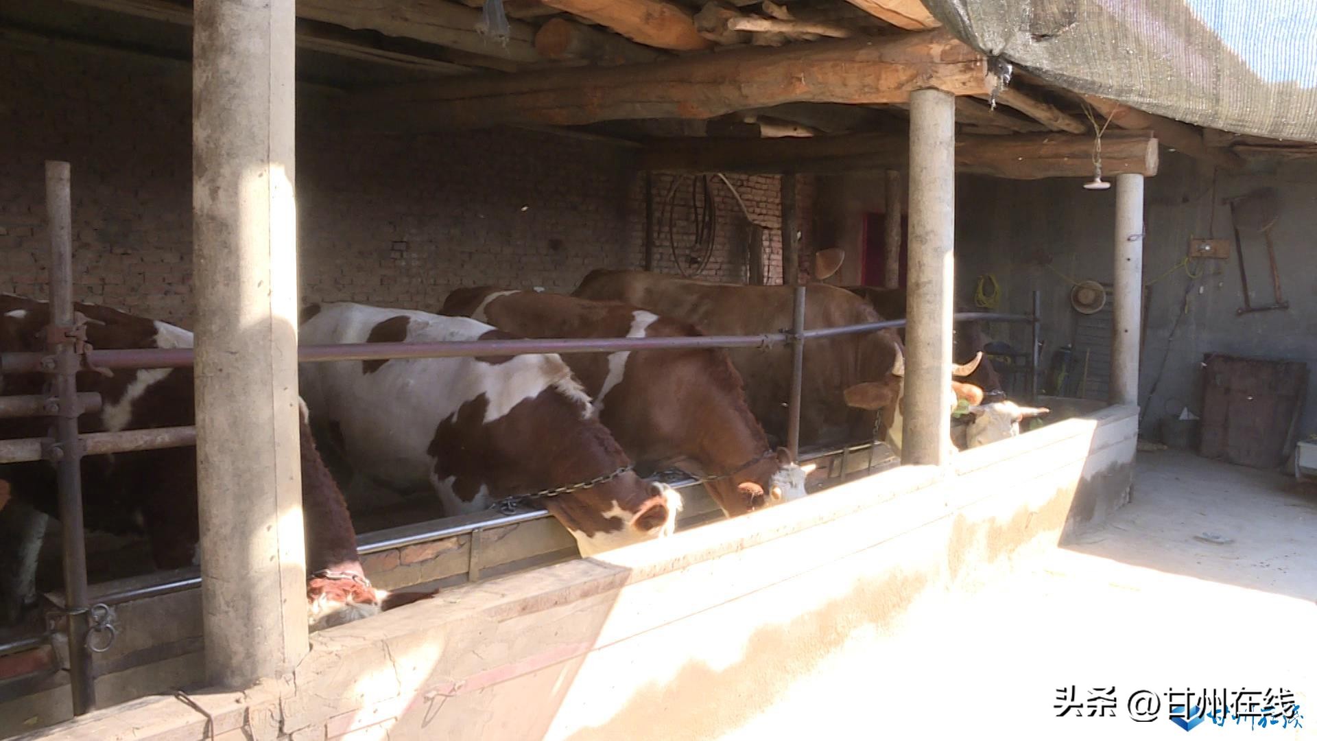 「抓项目扩投资赶进度提效能」甘州区小满镇：拆除农村老旧房屋腾退空间兴产业