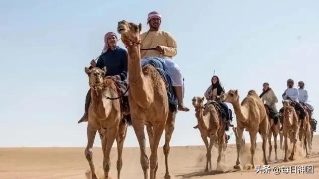 为什么卡塔尔男性比女性多,卡塔尔男女比例为什么如此严峻