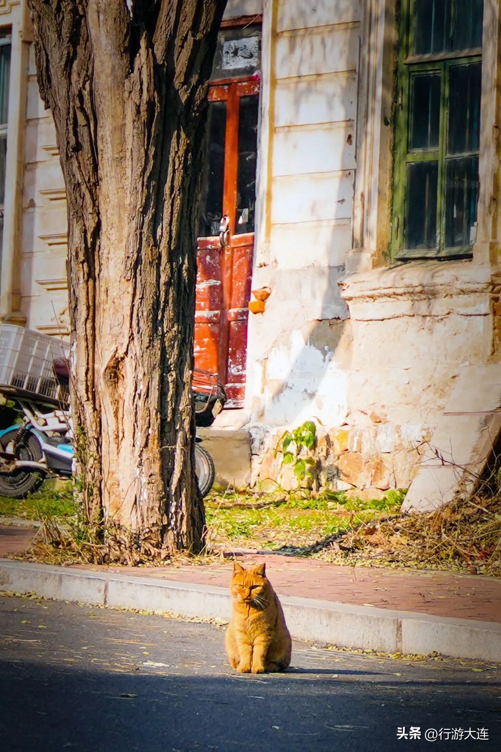 漫步大连风景区,漫步大连风景