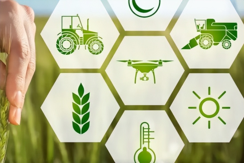 重庆蔬菜批发配送app平台,蔬菜配送app开发