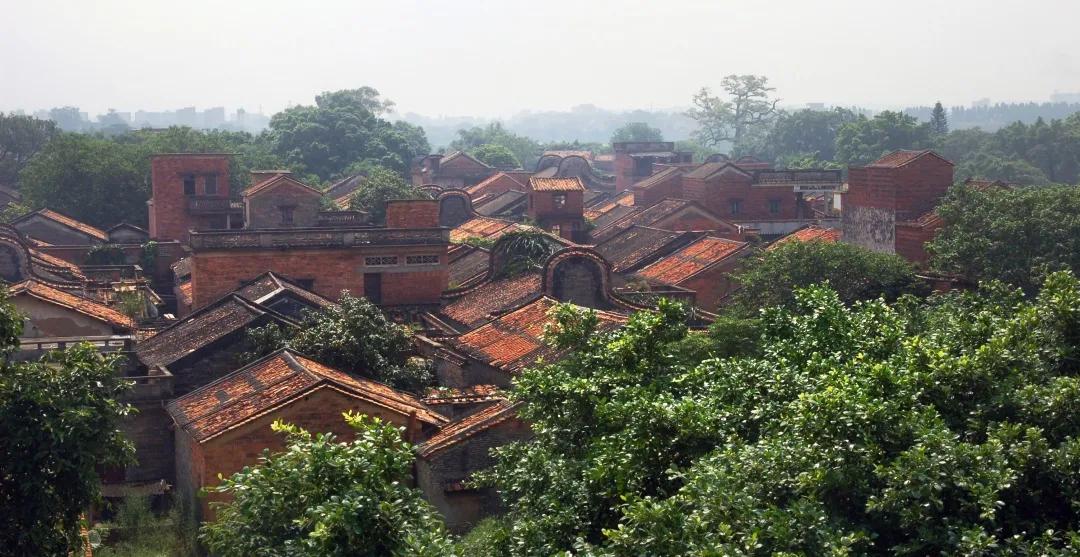 塱头村草地,塱头村草坪
