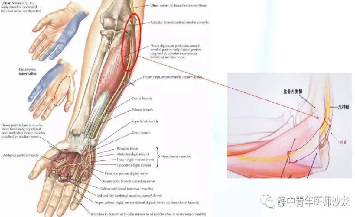 睡觉手指麻木醒来又恢复,手指麻木的最快解决办法